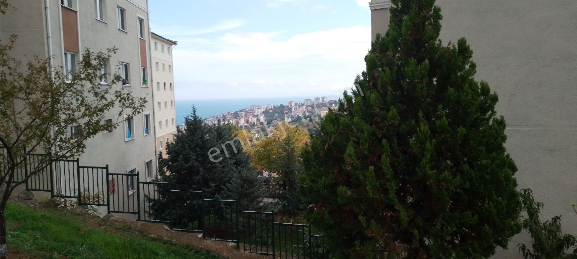 Trabzon Pelitli Tokide Kiralık 3+1 - Görsel 5