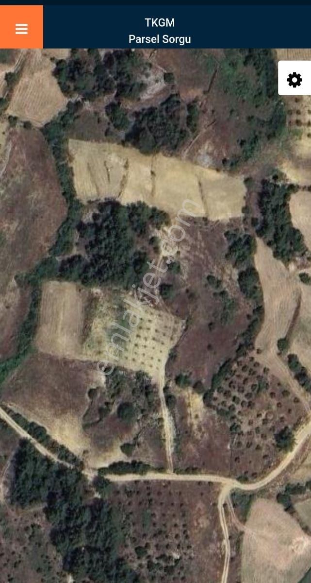 Nova Gayrimenkul'den Acil Satılık Tek Tapu Tarla - Görsel 4