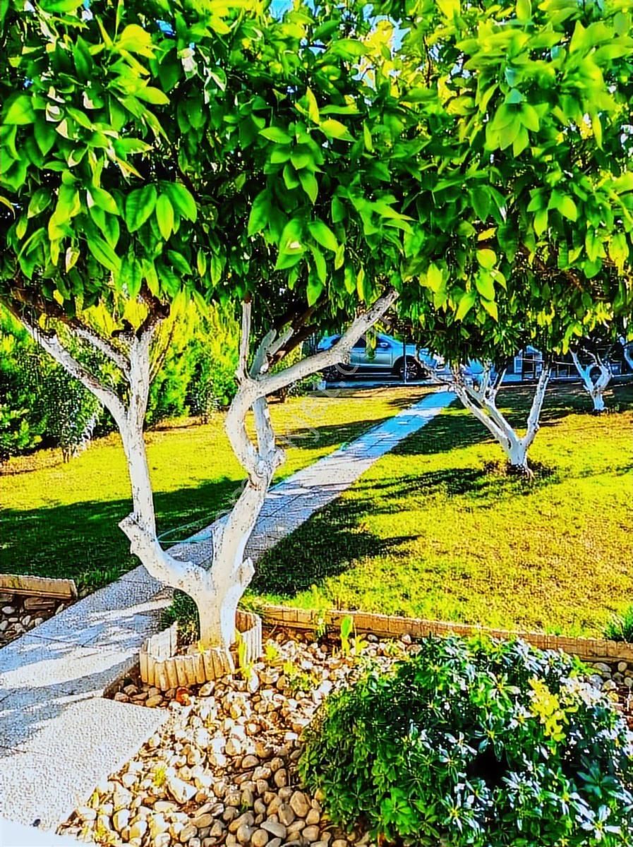 Denize 3km Ahmetbeyli | 120 M² Full Eşyalı Dubleks - Görsel 5