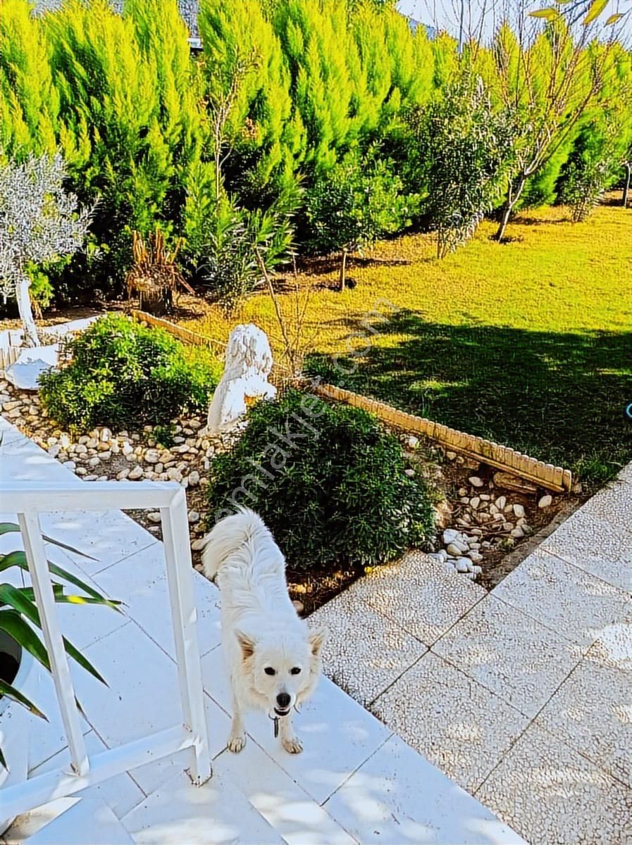 Denize 3km Ahmetbeyli | 120 M² Full Eşyalı Dubleks - Görsel 6