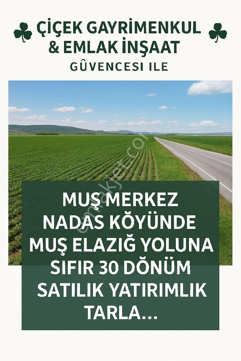 Acil Muş Merkez Nadaslık Köyünde Satılık Tarla