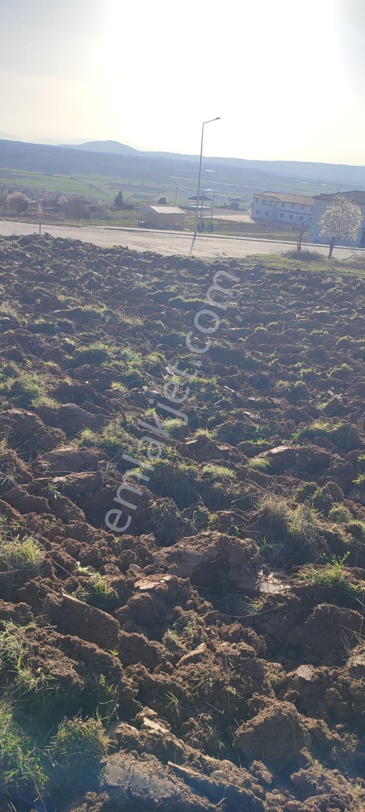 Sahibinden Baklanda Satılık Köşe Parsel Kupon Arsa - Görsel 5