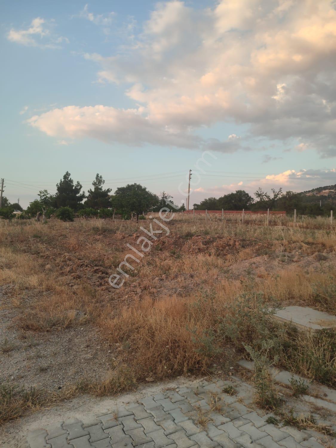 Sahibinden Baklanda Satılık Köşe Parsel Kupon Arsa
