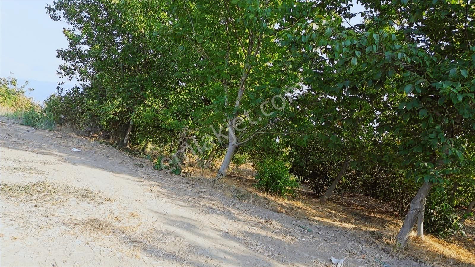 Yön Group'tan Satılık Hobi Bahçesi - Görsel 6