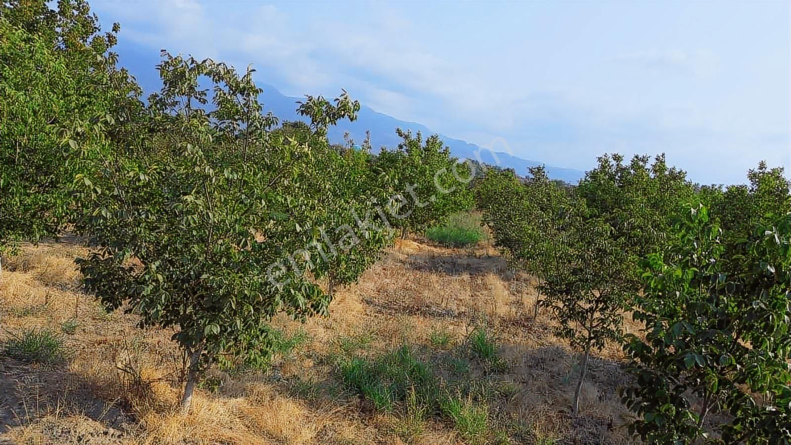 Yön Group'tan Satılık Hobi Bahçesi - Görsel 5