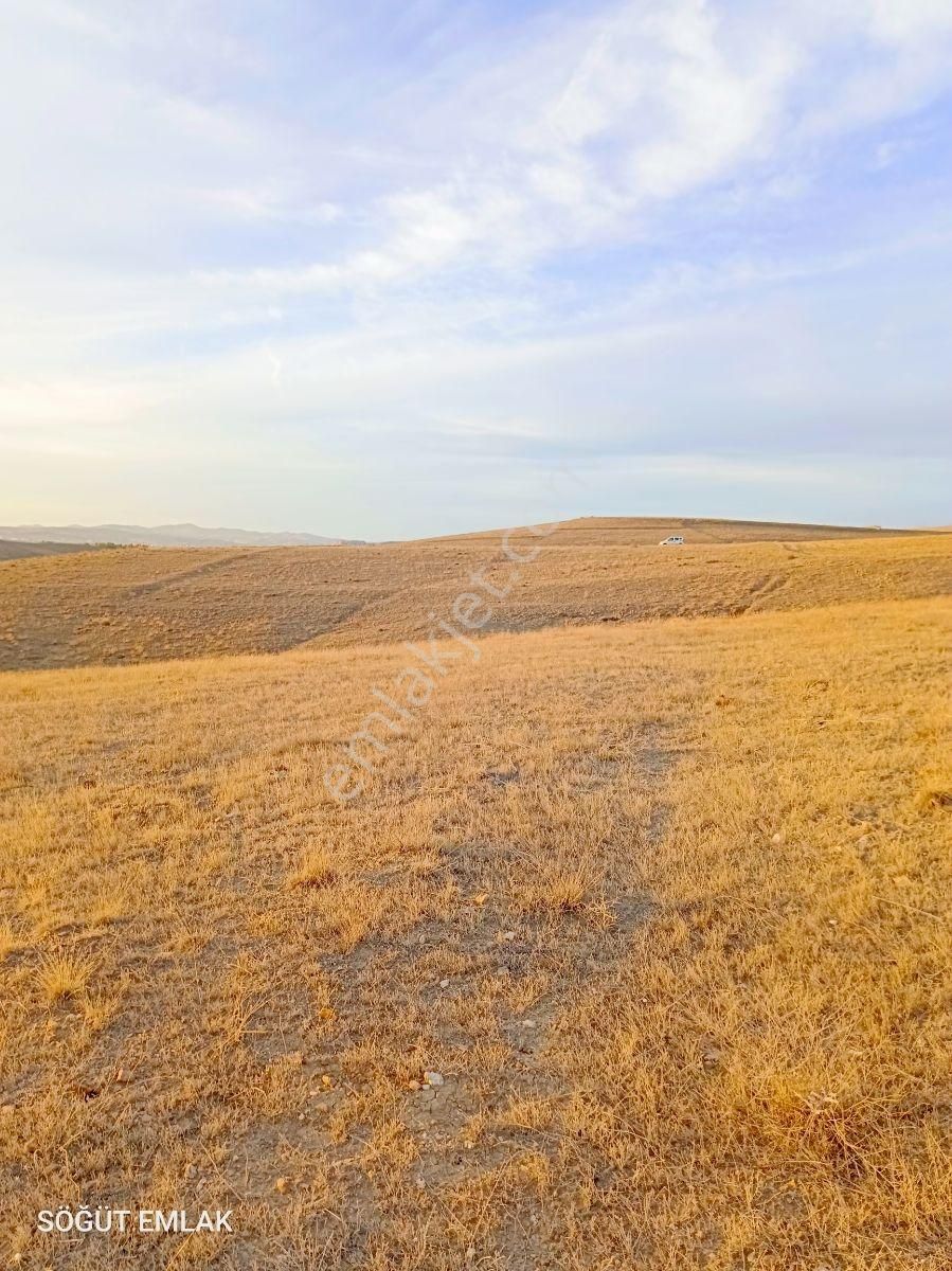 Mermer Başkentinde Baraj Manzaralı 11 Dönüm Arazi - Görsel 20