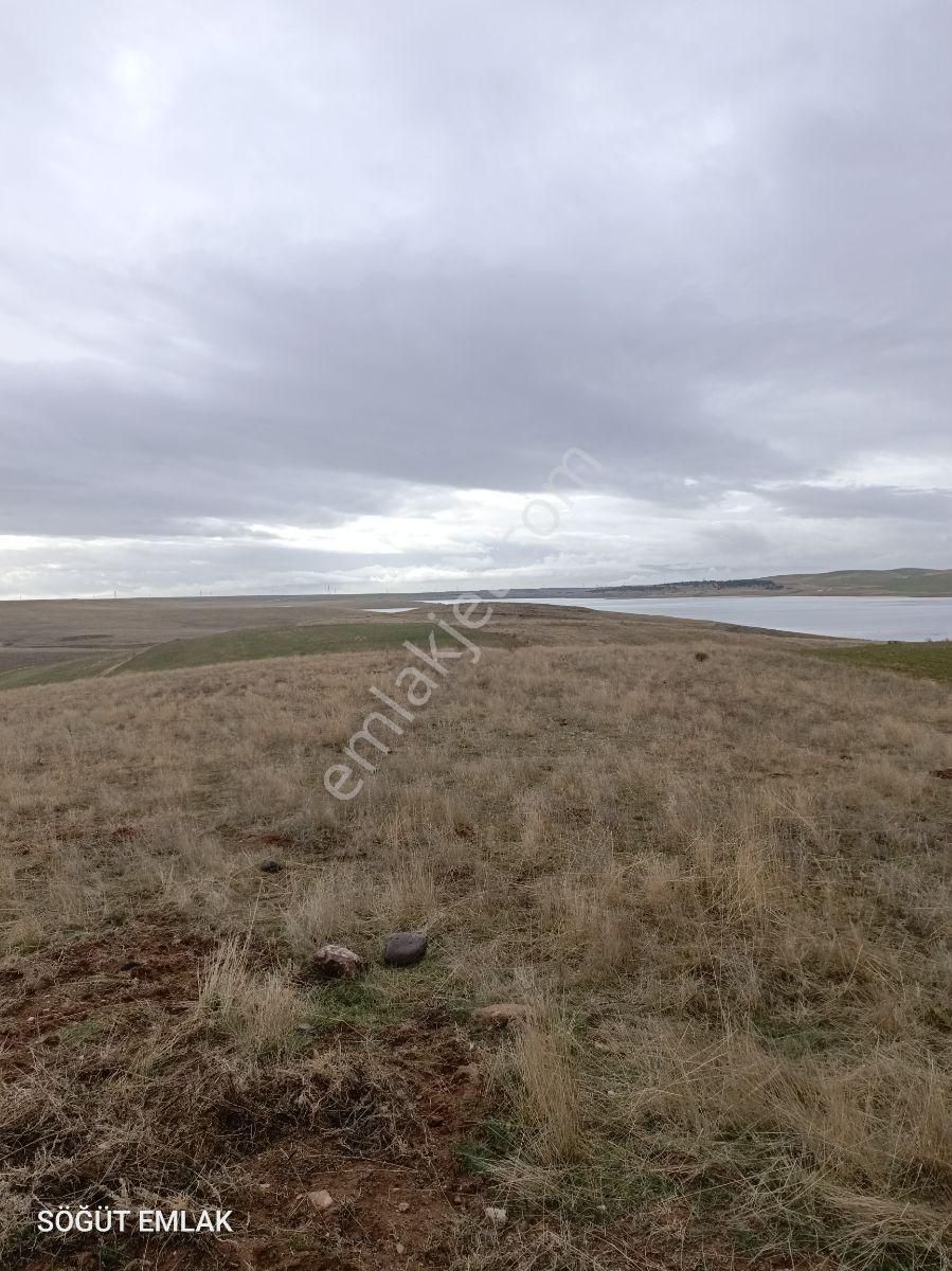 Mermer Başkentinde Baraj Manzaralı 11 Dönüm Arazi - Görsel 13