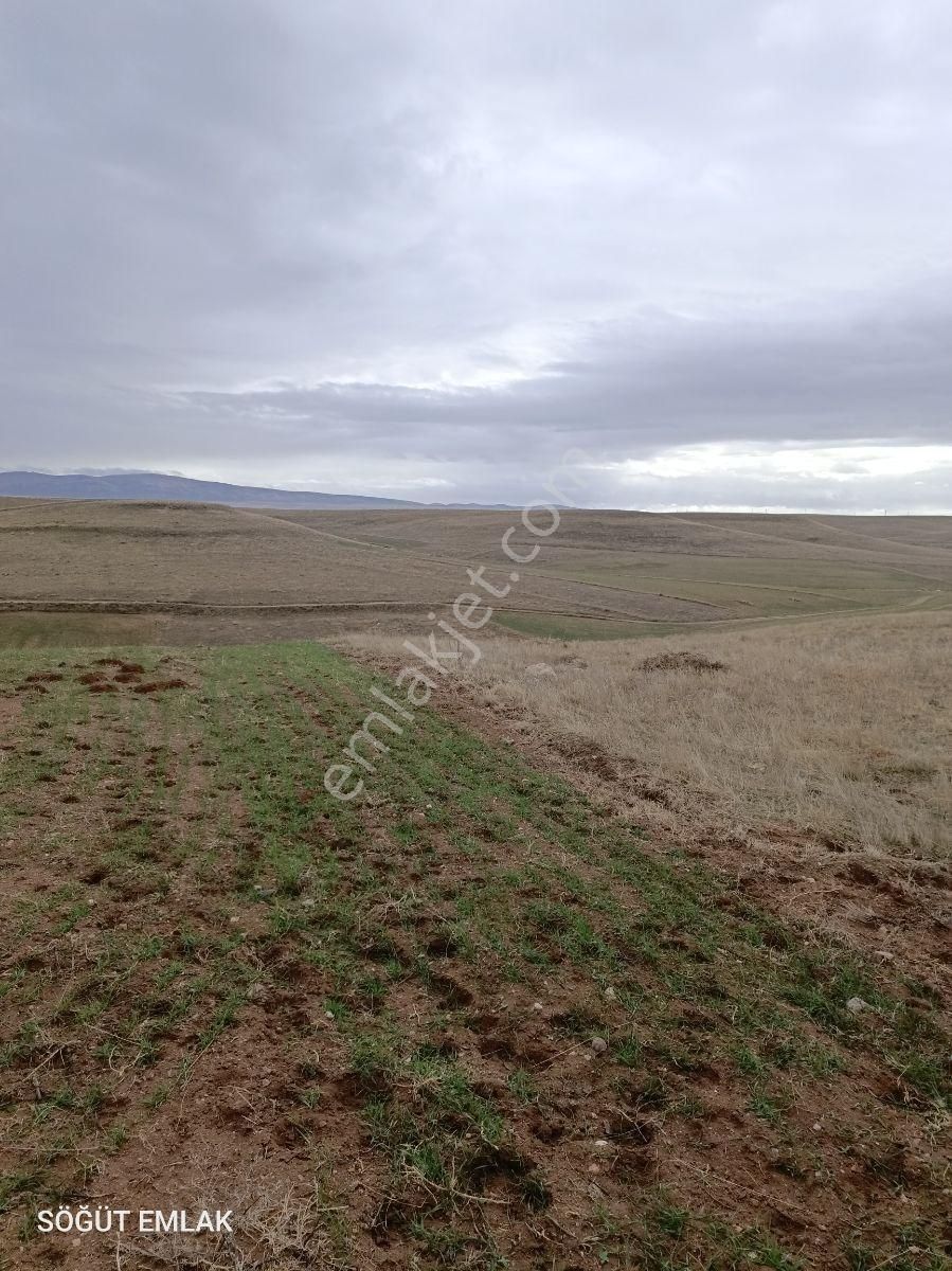 Mermer Başkentinde Baraj Manzaralı 11 Dönüm Arazi - Görsel 14