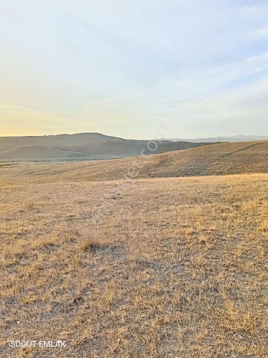 Mermer Başkentinde Baraj Manzaralı 11 Dönüm Arazi - Görsel 8