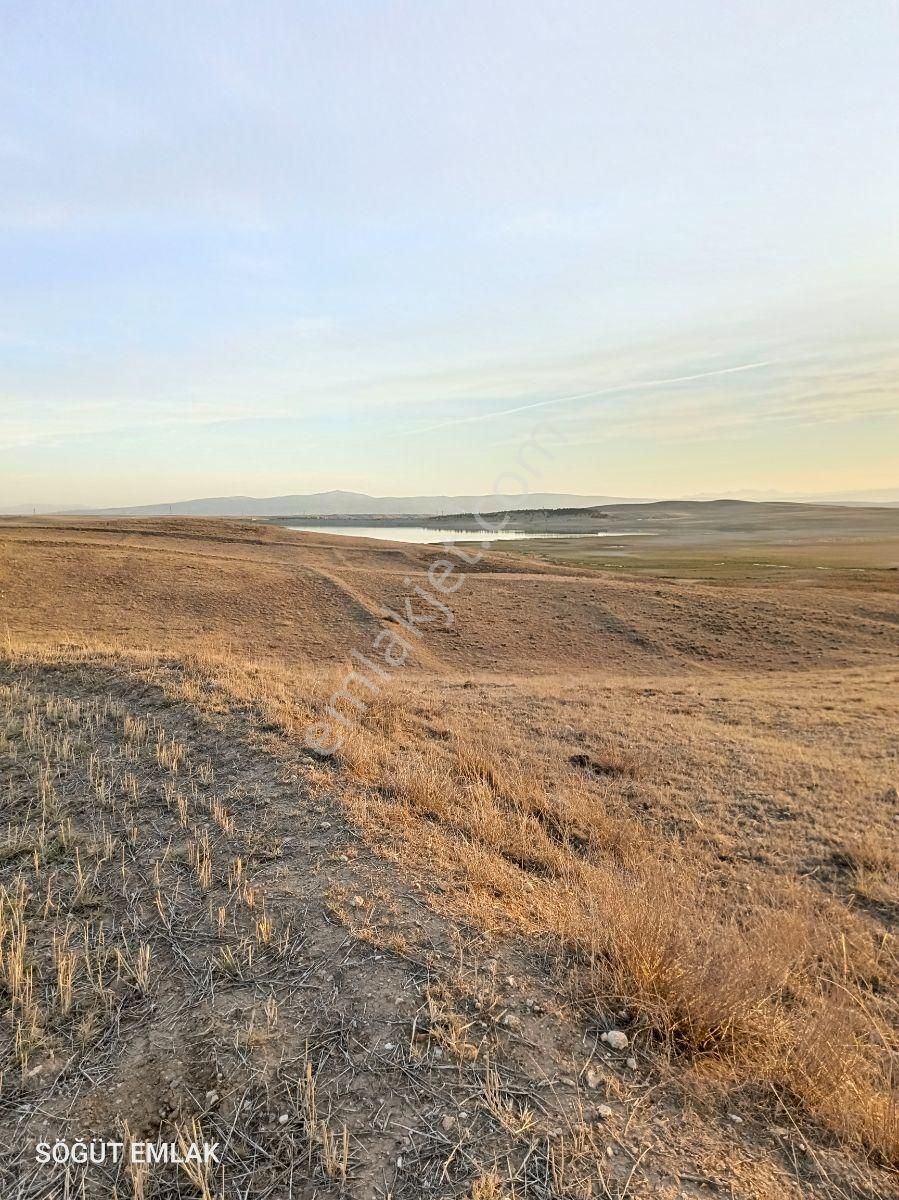 Mermer Başkentinde Baraj Manzaralı 11 Dönüm Arazi - Görsel 3