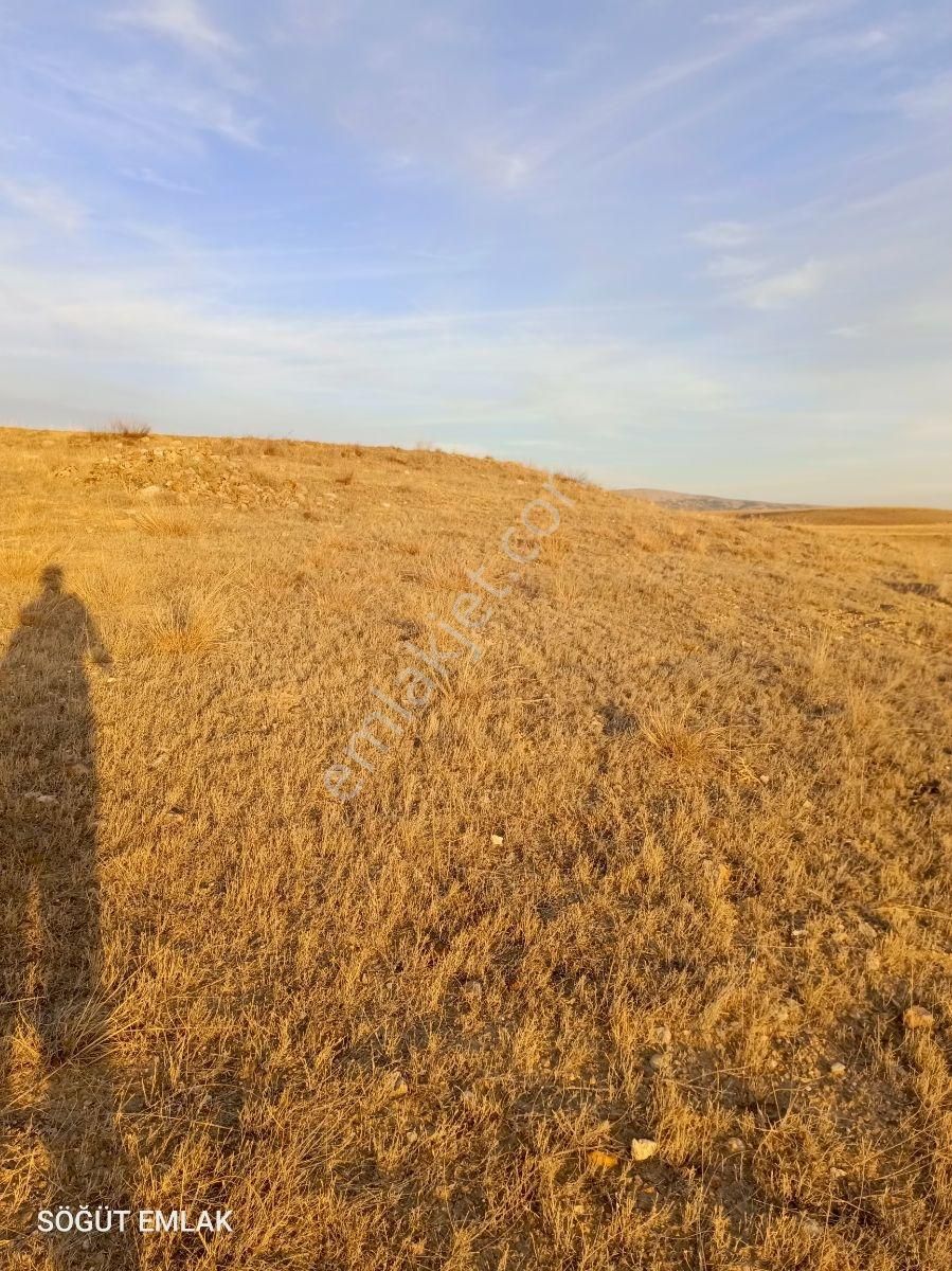 Mermer Başkentinde Baraj Manzaralı 11 Dönüm Arazi - Görsel 2