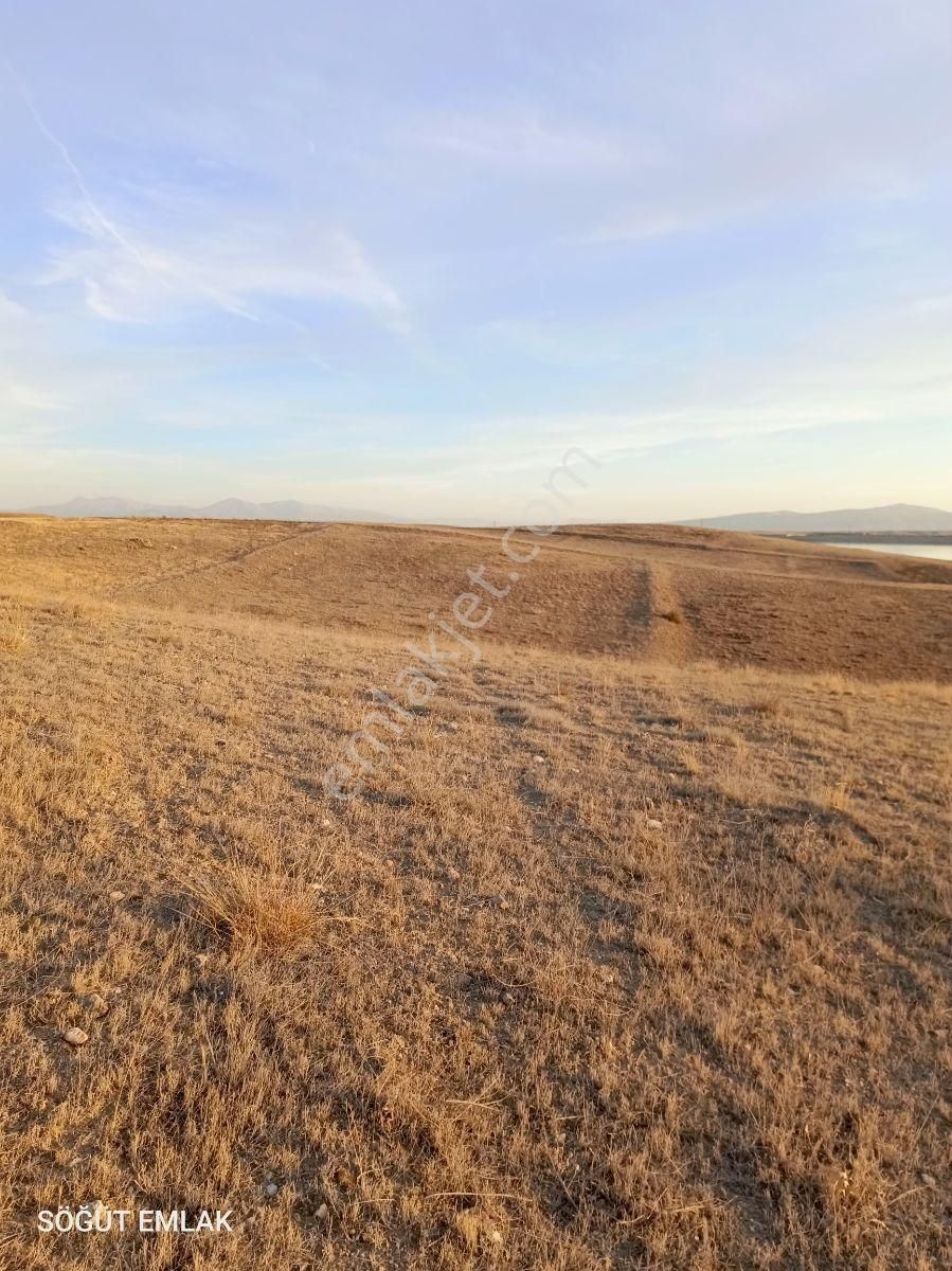 Mermer Başkentinde Baraj Manzaralı 11 Dönüm Arazi - Görsel 4