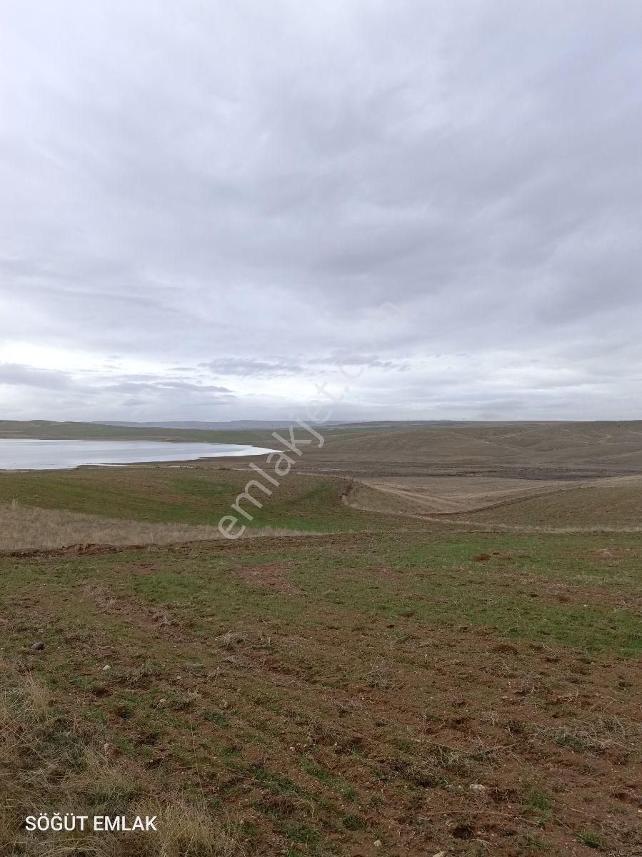 Mermer Başkentinde Baraj Manzaralı 11 Dönüm Arazi - Görsel 12