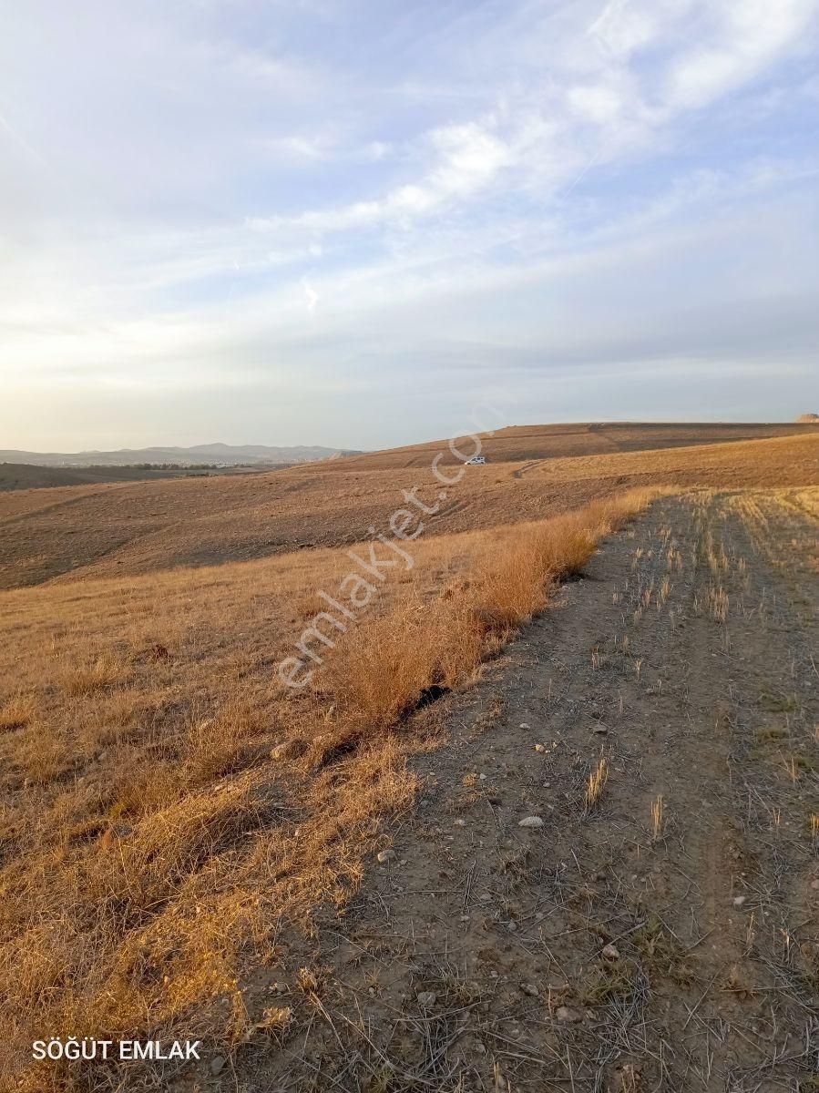 Mermer Başkentinde Baraj Manzaralı 11 Dönüm Arazi - Görsel 18