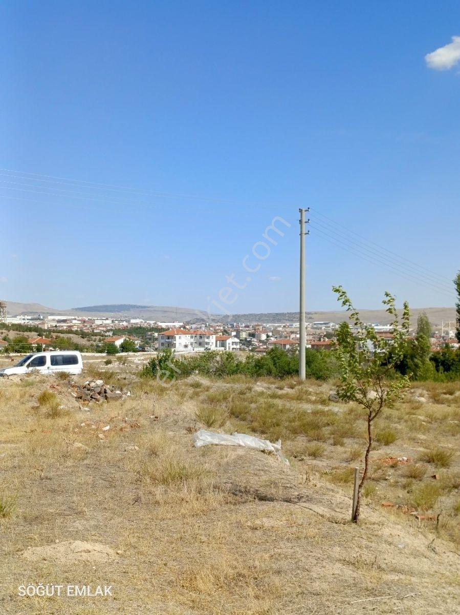 Söğüt Emlak'tan İscehisar'da Satılık Geniş Tek Parça Arsa - Görsel 13