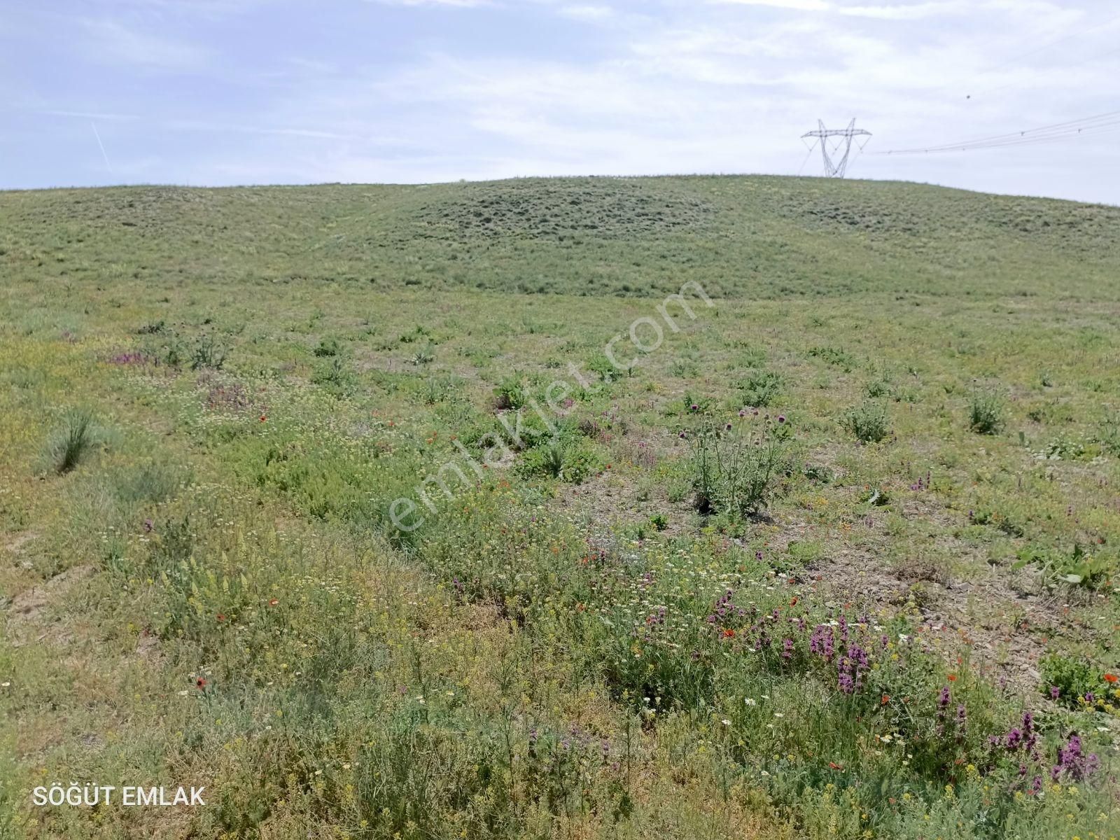 Resmi Yolu Olan Yatırımlık Tarla - Görsel 5