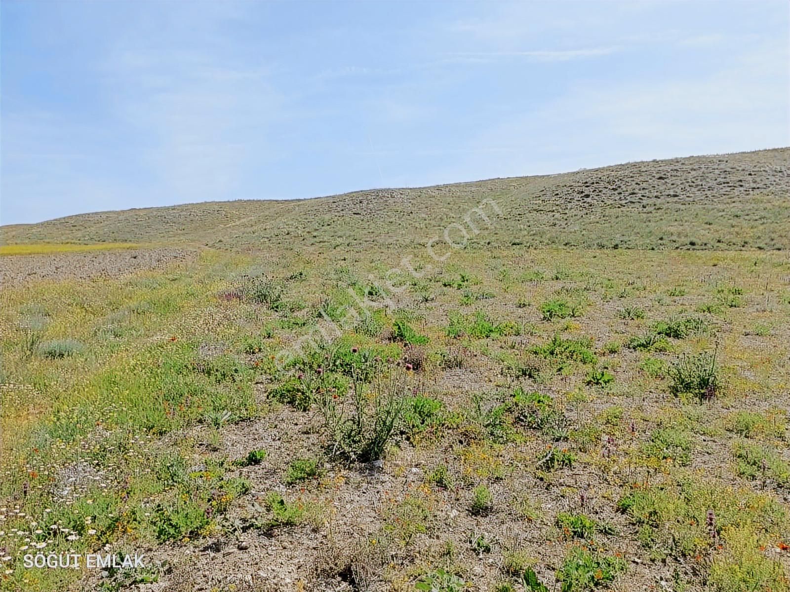 Resmi Yolu Olan Yatırımlık Tarla - Görsel 10