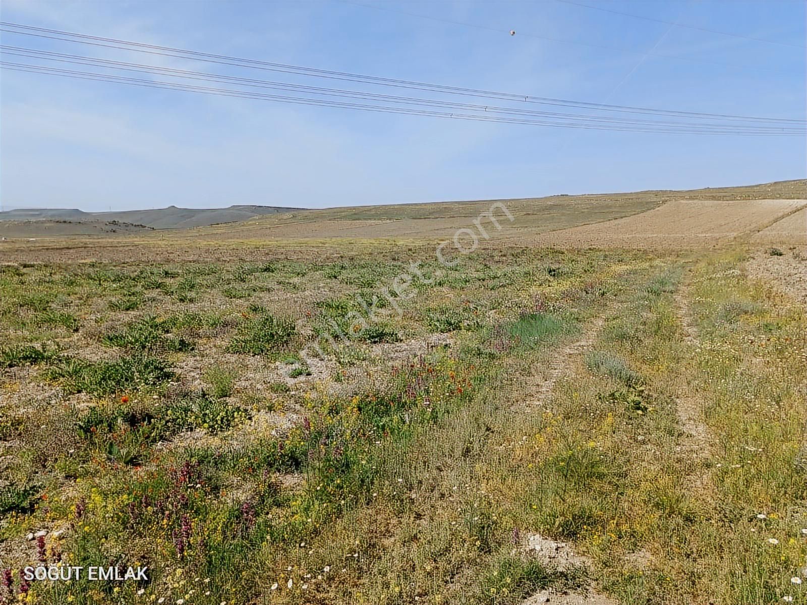 Resmi Yolu Olan Yatırımlık Tarla - Görsel 9