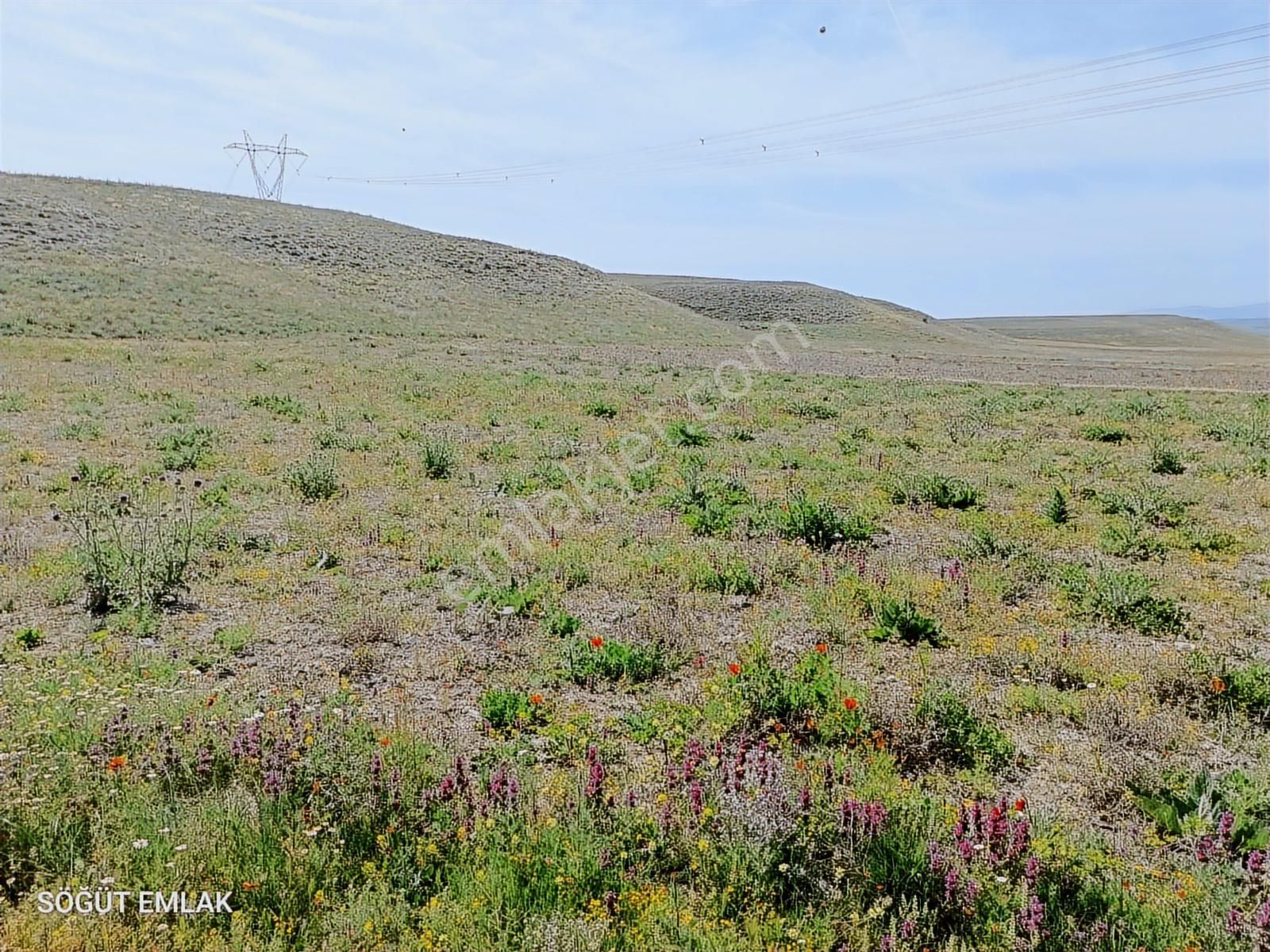 Resmi Yolu Olan Yatırımlık Tarla - Görsel 8