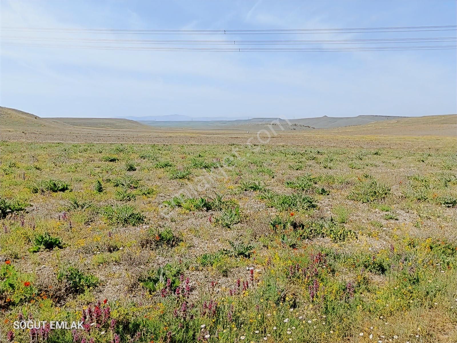 Resmi Yolu Olan Yatırımlık Tarla - Görsel 7