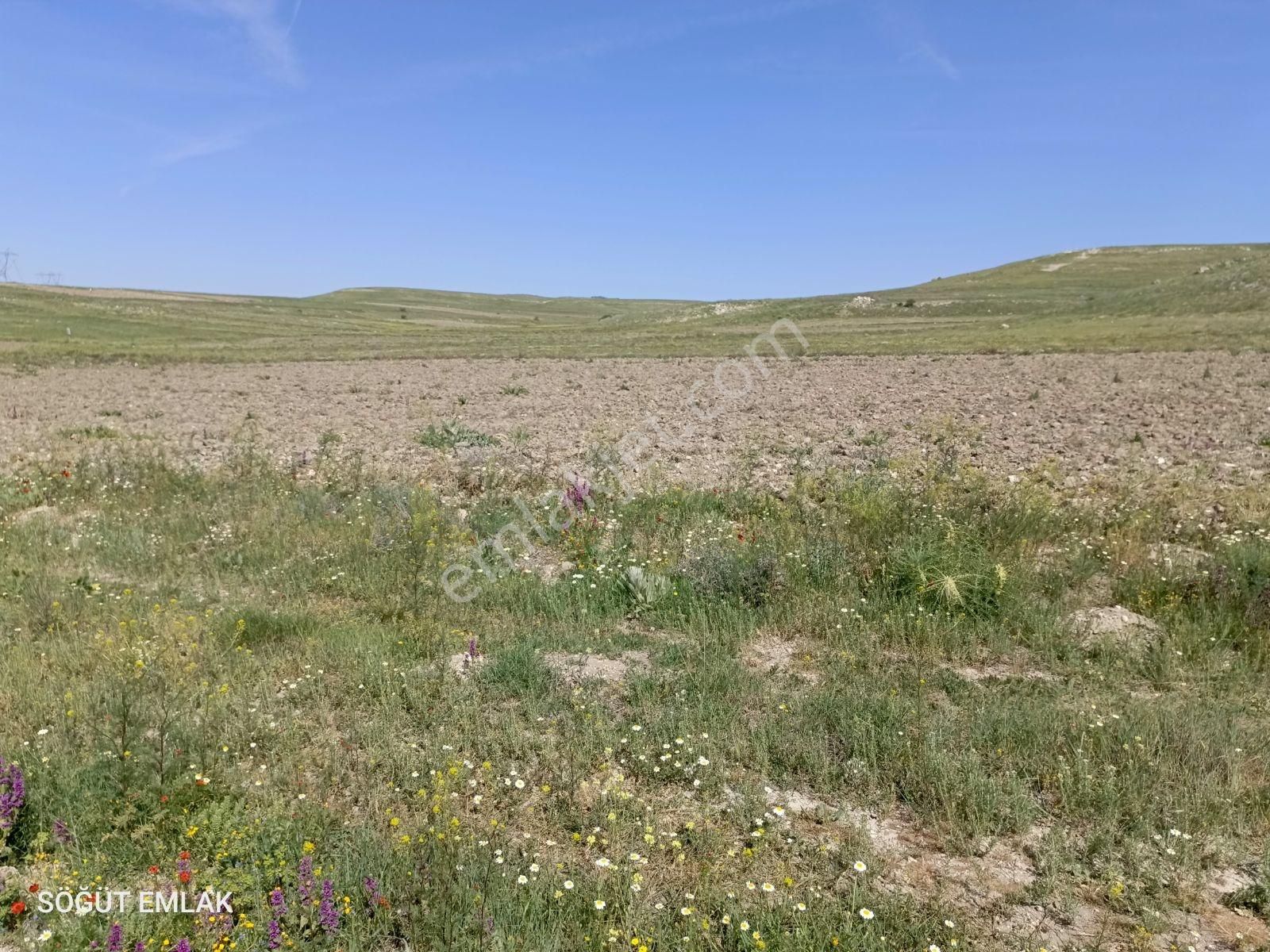 Resmi Yolu Olan Yatırımlık Tarla - Görsel 12