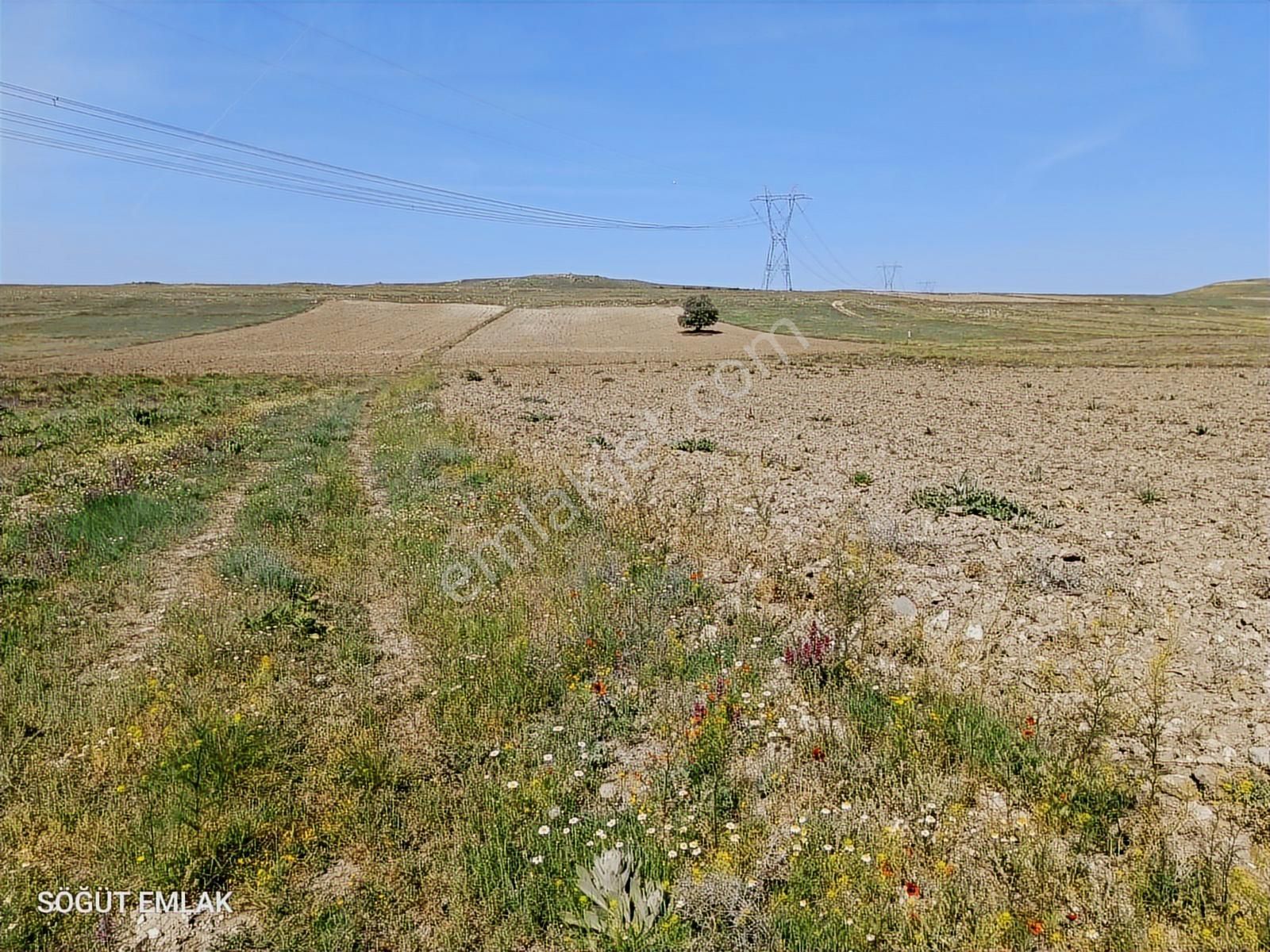 Resmi Yolu Olan Yatırımlık Tarla - Görsel 4