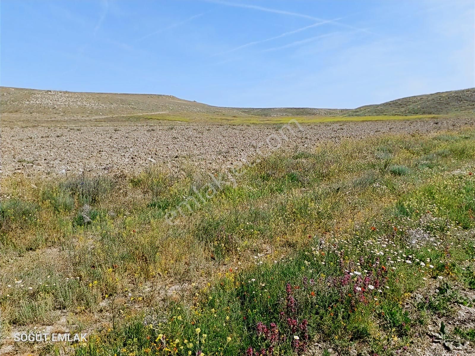 Resmi Yolu Olan Yatırımlık Tarla - Görsel 6