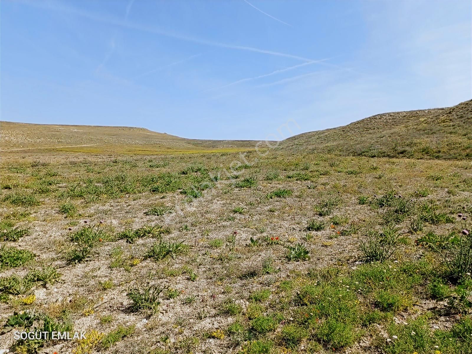 Resmi Yolu Olan Yatırımlık Tarla - Görsel 13