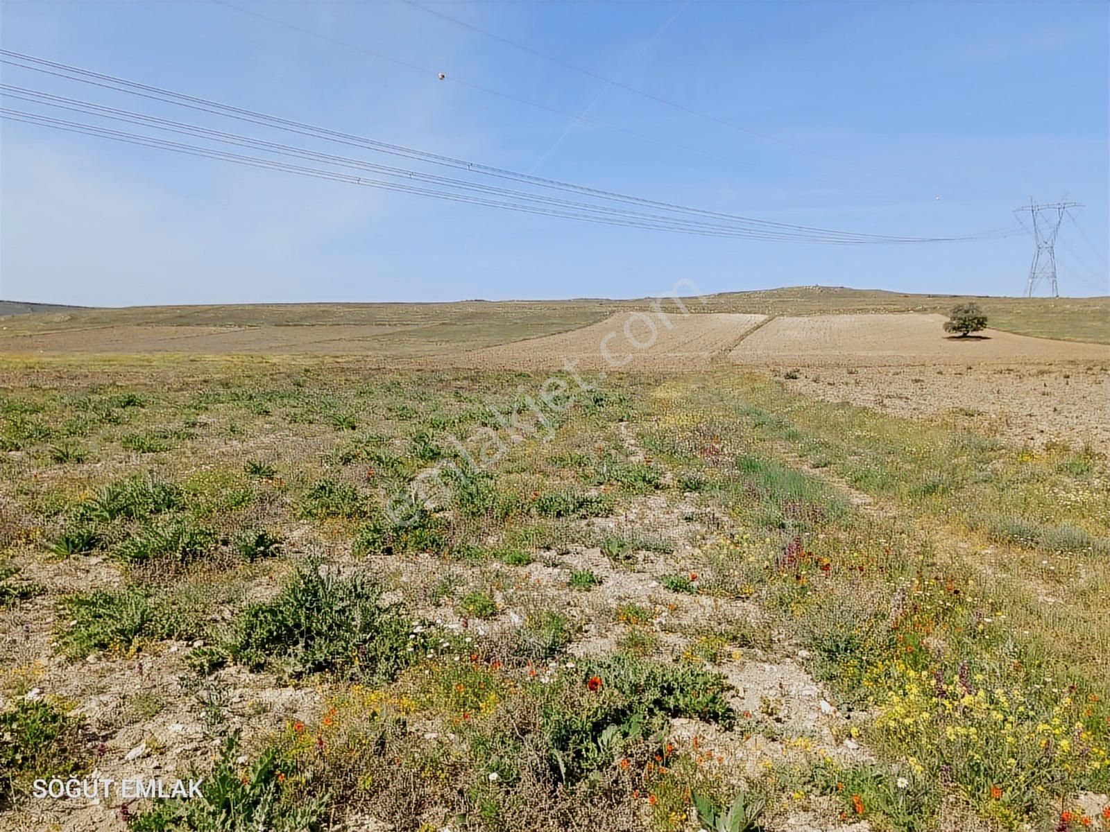 Resmi Yolu Olan Yatırımlık Tarla - Görsel 3