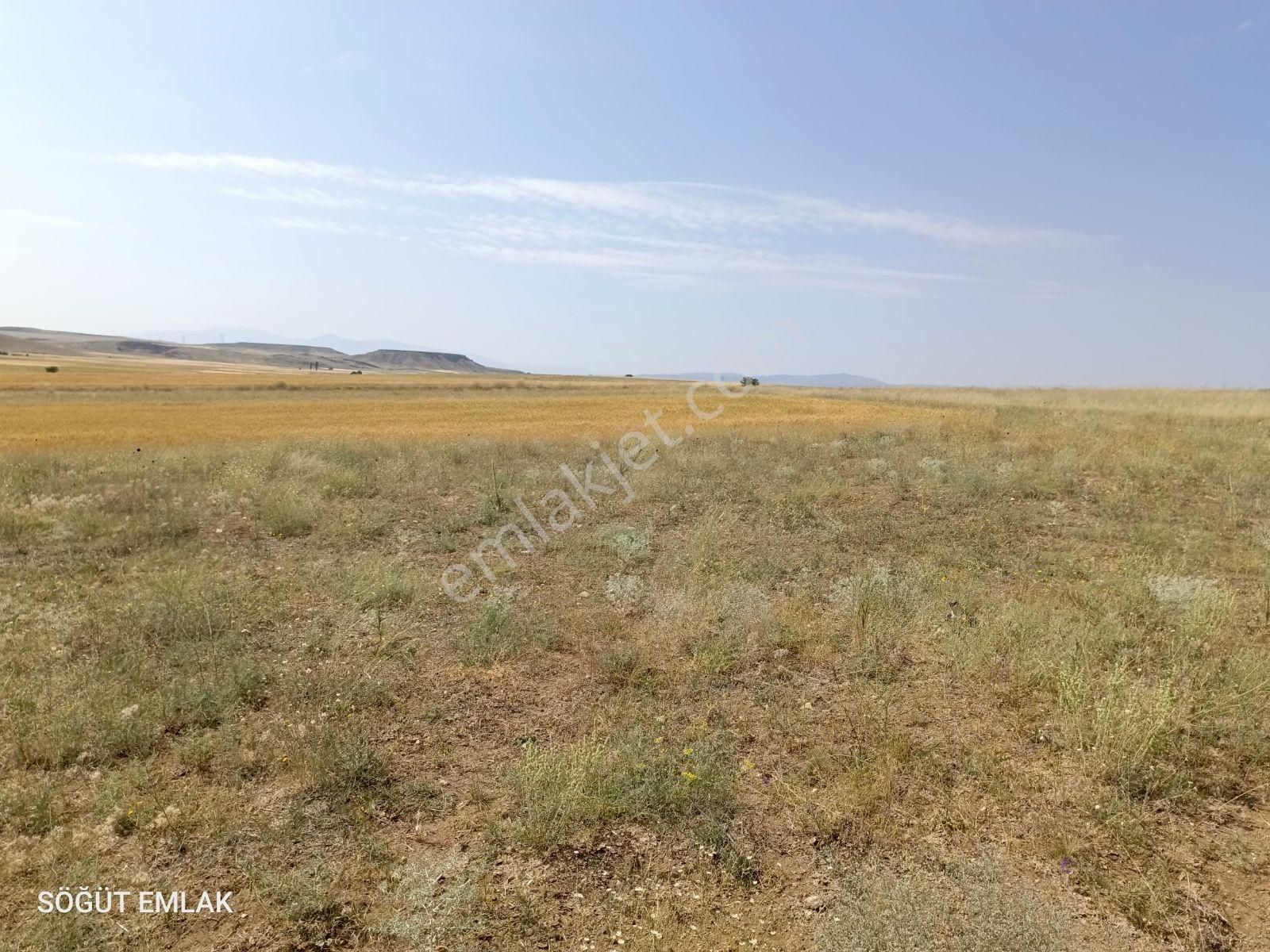 Ankara Asfaltına Yakın Fabrika Arkasında Satılık Tarla - Görsel 3