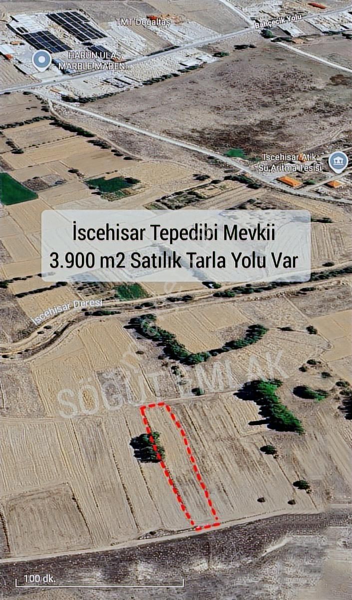 Söğüt Emlak'tan Satılık Verimli Düz Tarla Yolu Var - Görsel 11