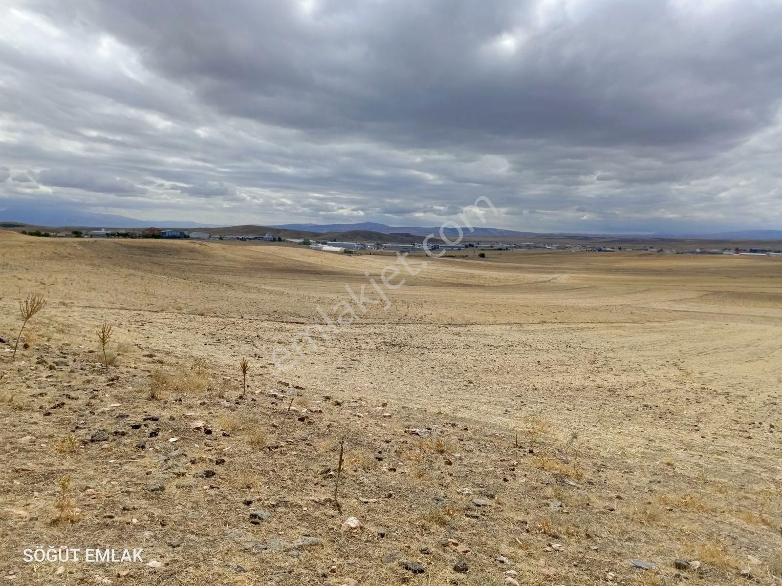Söğüt Emlak'tan 3.toki Yakını İmar Sınırında Satılık Tarla - Görsel 11