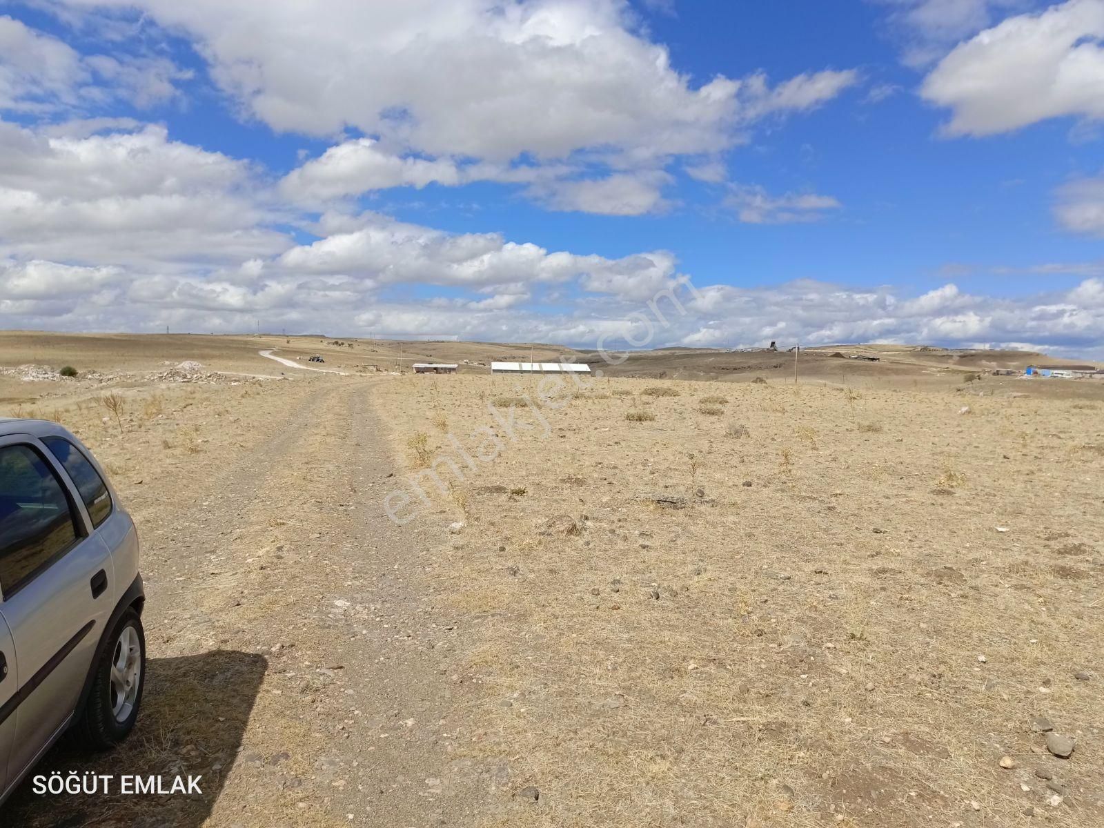 Söğüt Emlak'tan 3.toki Yakını İmar Sınırında Satılık Tarla - Görsel 12