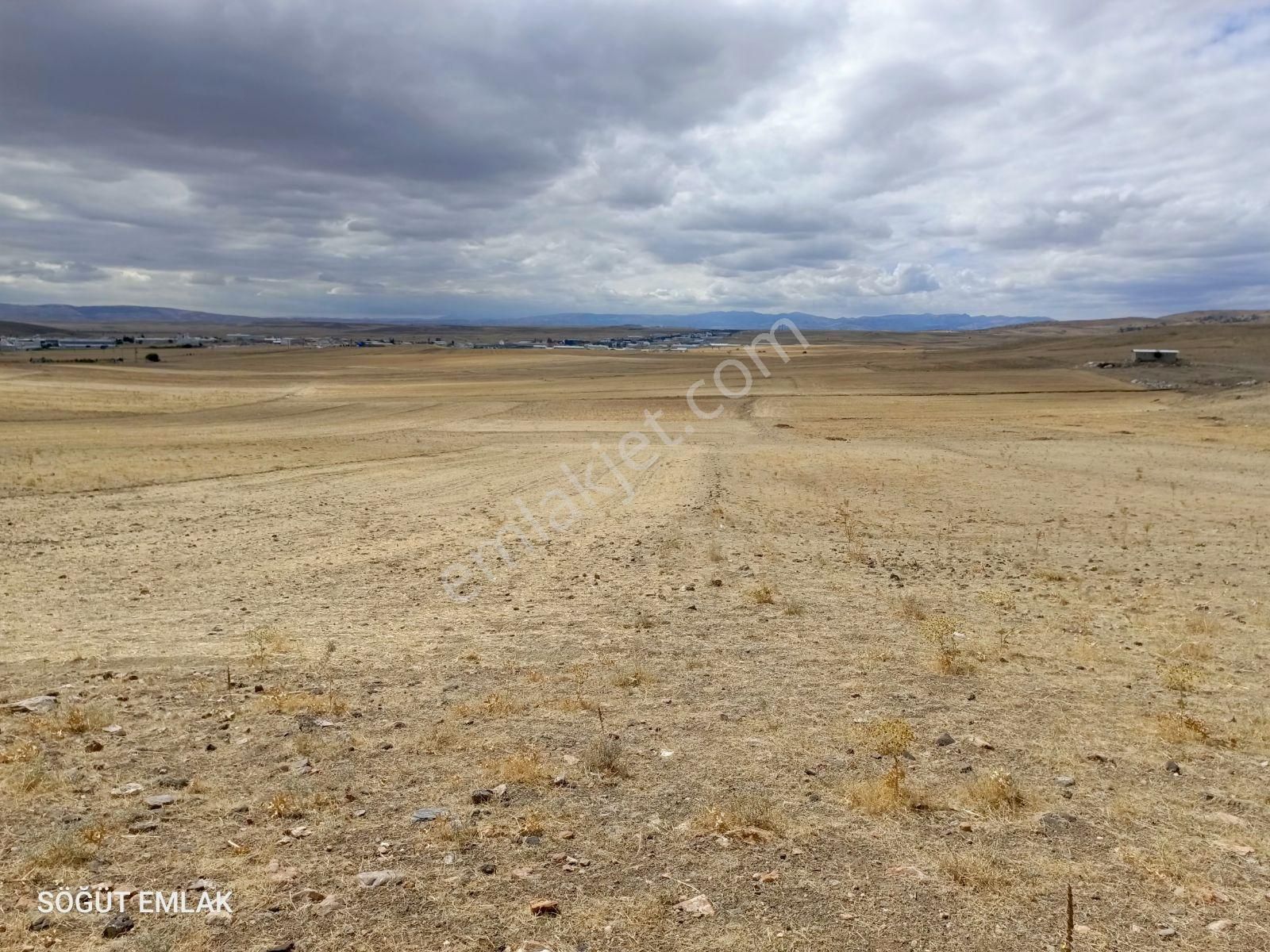 Söğüt Emlak'tan 3.toki Yakını İmar Sınırında Satılık Tarla - Görsel 6