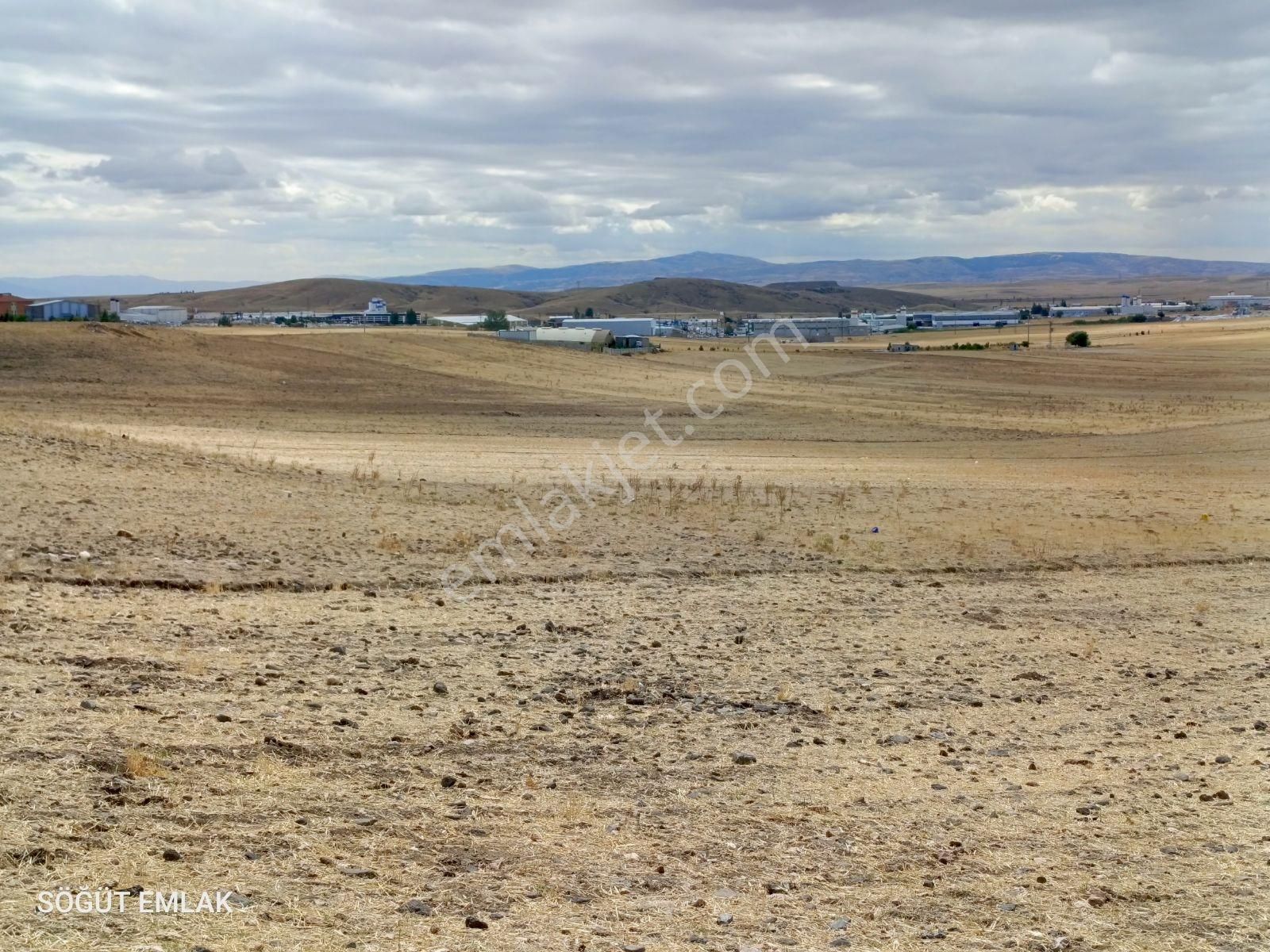 Söğüt Emlak'tan 3.toki Yakını İmar Sınırında Satılık Tarla - Görsel 4