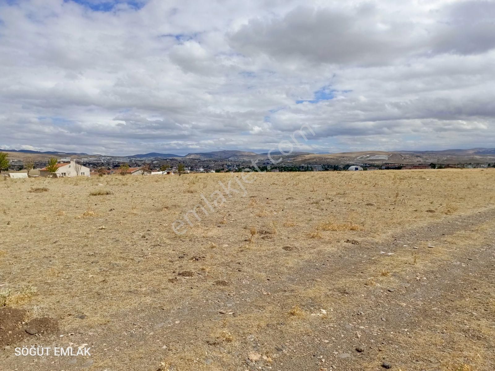 Söğüt Emlak'tan 3.toki Yakını İmar Sınırında Satılık Tarla - Görsel 8