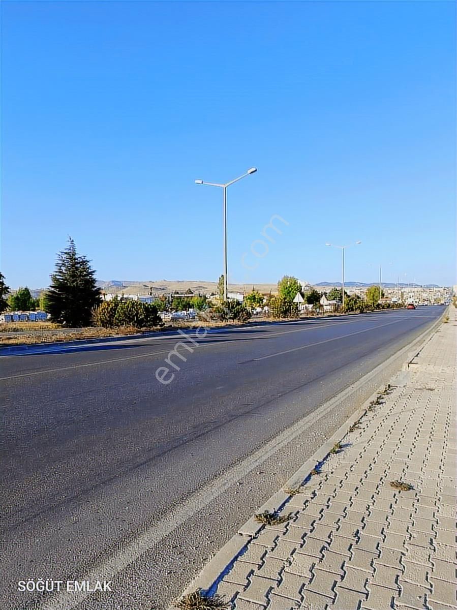 Söğüt Emlak'tan Asfalta Sıfır Tarla - Görsel 11