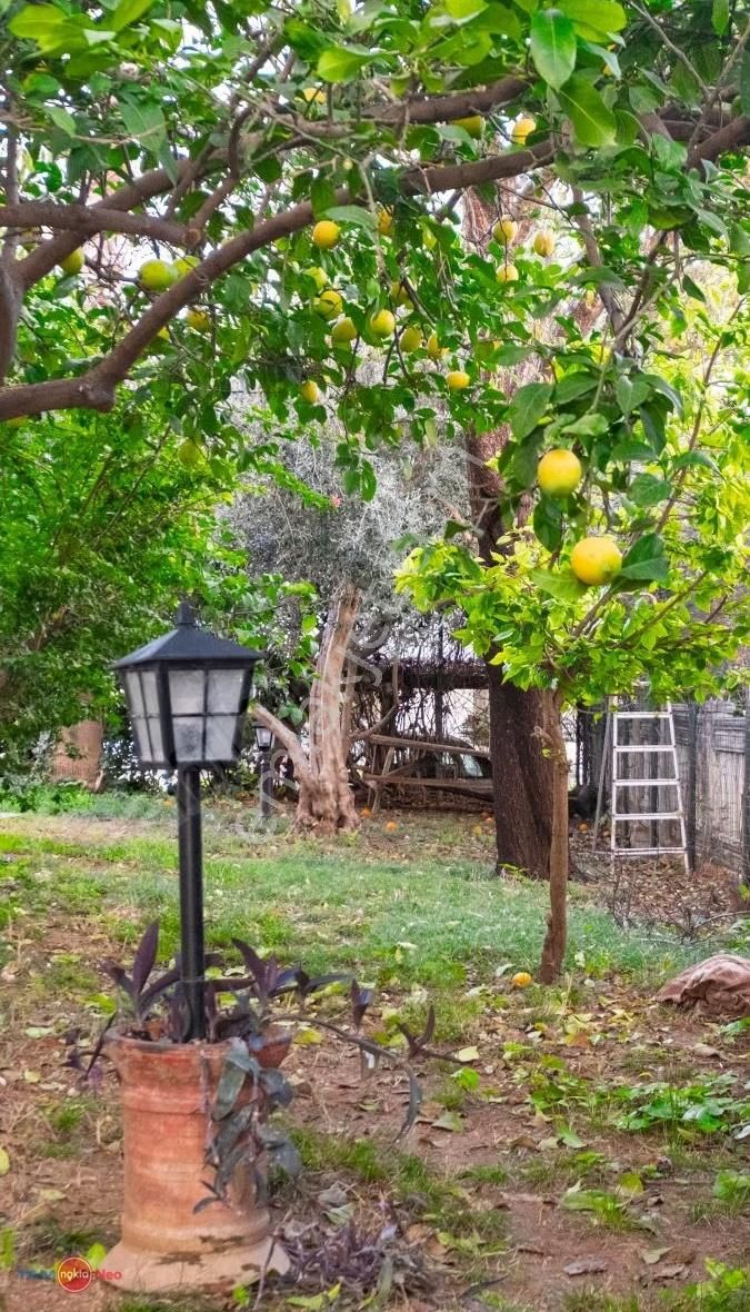 Yeşilbahçe De Site İçerisinde Bahçe Kullanımlı Villa Tadında - Görsel 3