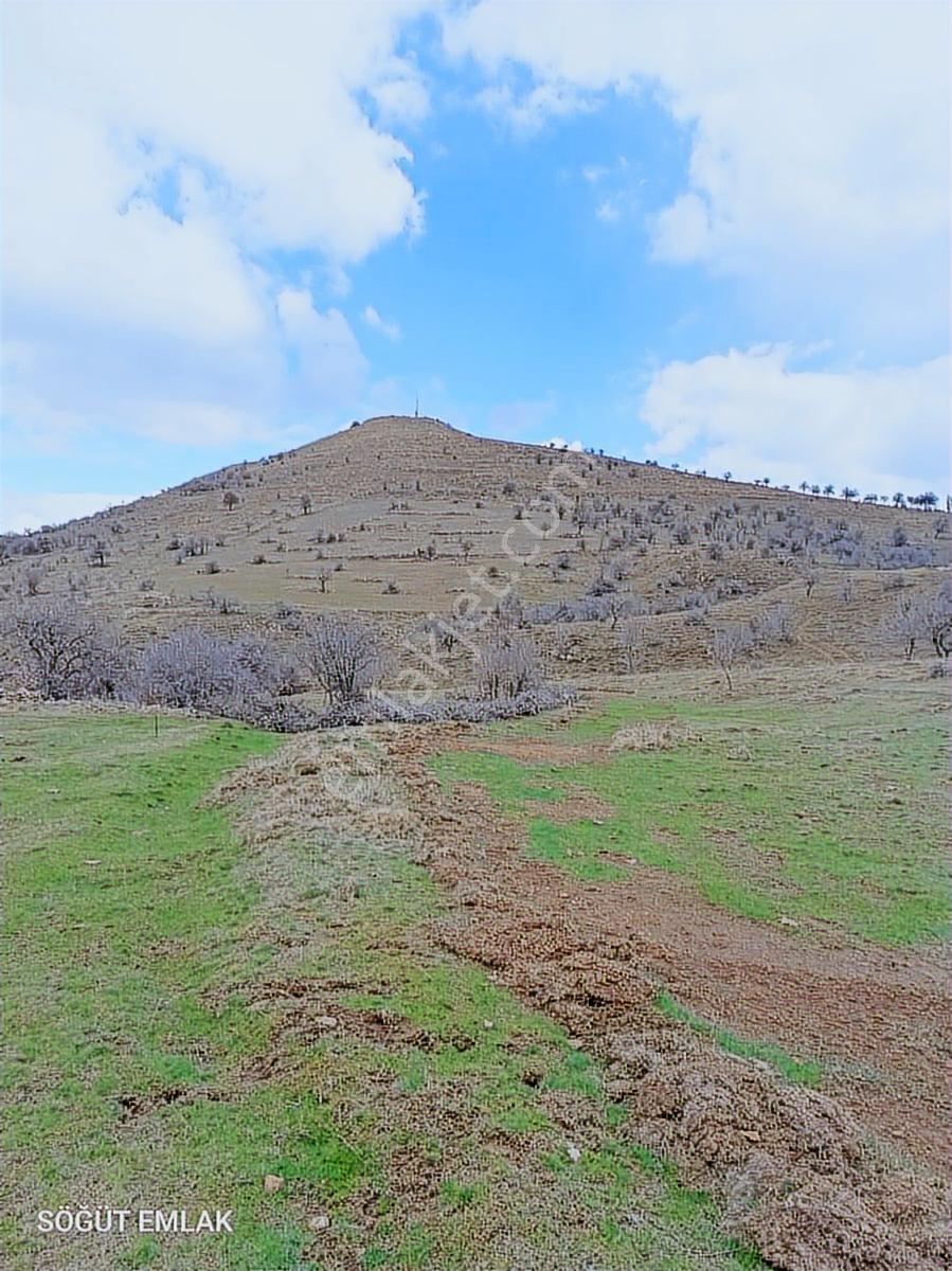 Söğüt Emlak'tan Kocatepe De Satılık Resmi Yolu Olan Arazi - Görsel 10