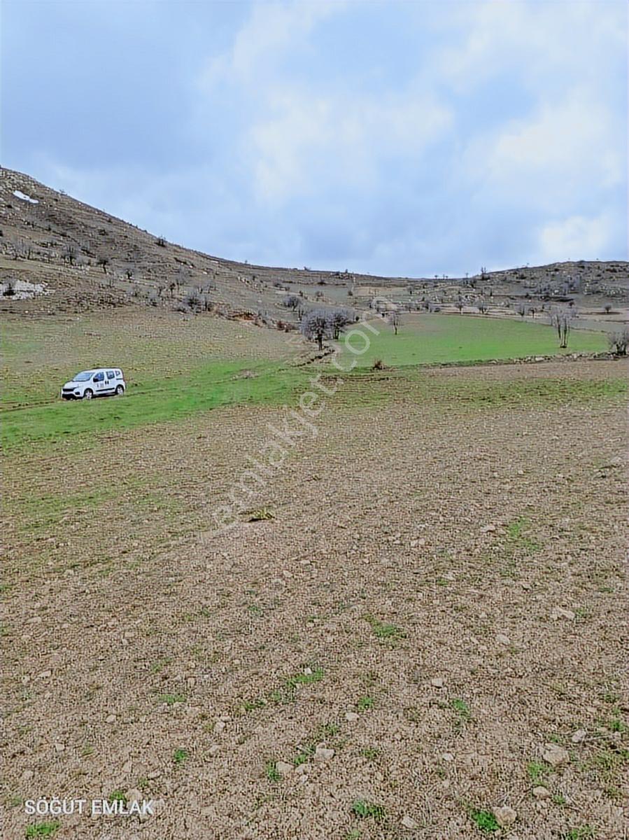 Söğüt Emlak'tan Kocatepe De Satılık Resmi Yolu Olan Arazi - Görsel 12