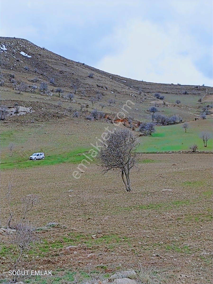 Söğüt Emlak'tan Kocatepe De Satılık Resmi Yolu Olan Arazi - Görsel 5