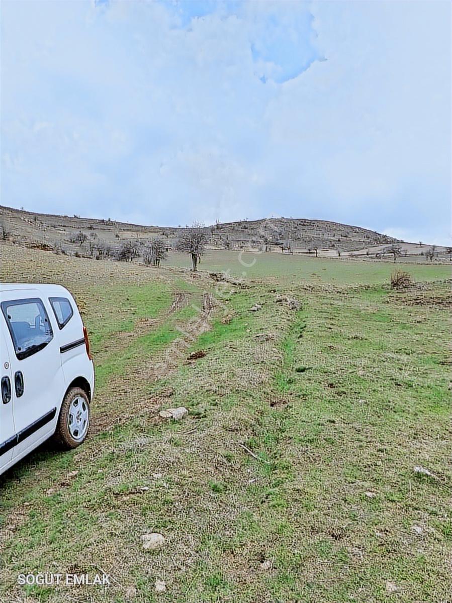 Söğüt Emlak'tan Kocatepe De Satılık Resmi Yolu Olan Arazi - Görsel 2