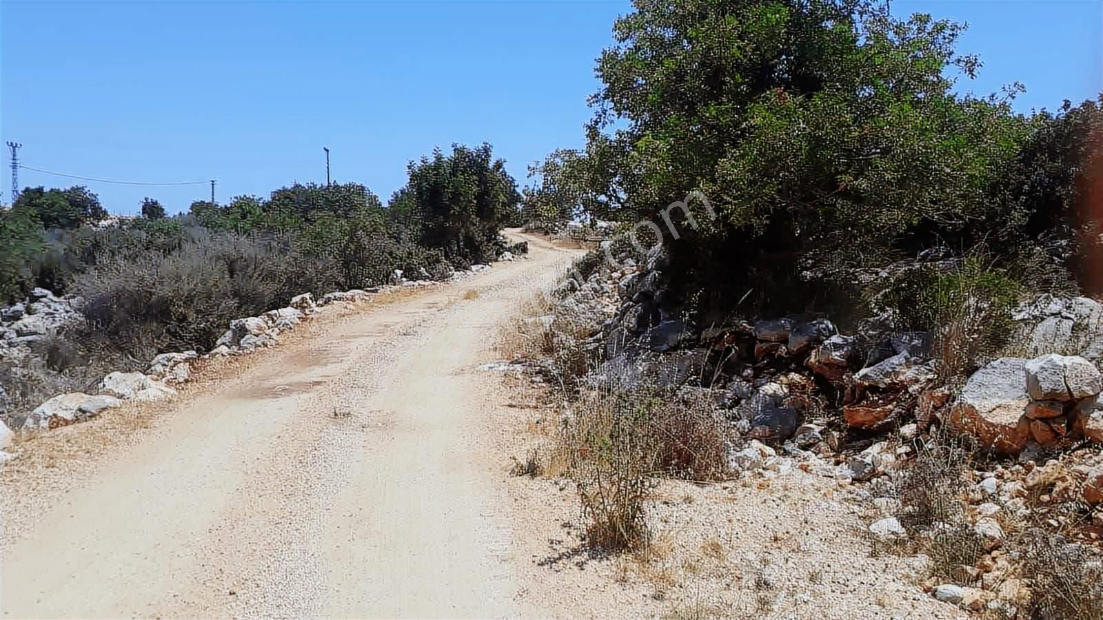 Cep Group'tan Narlıkuyuya Yakın | Yola Cepheli | Satılık Tarla - Görsel 4