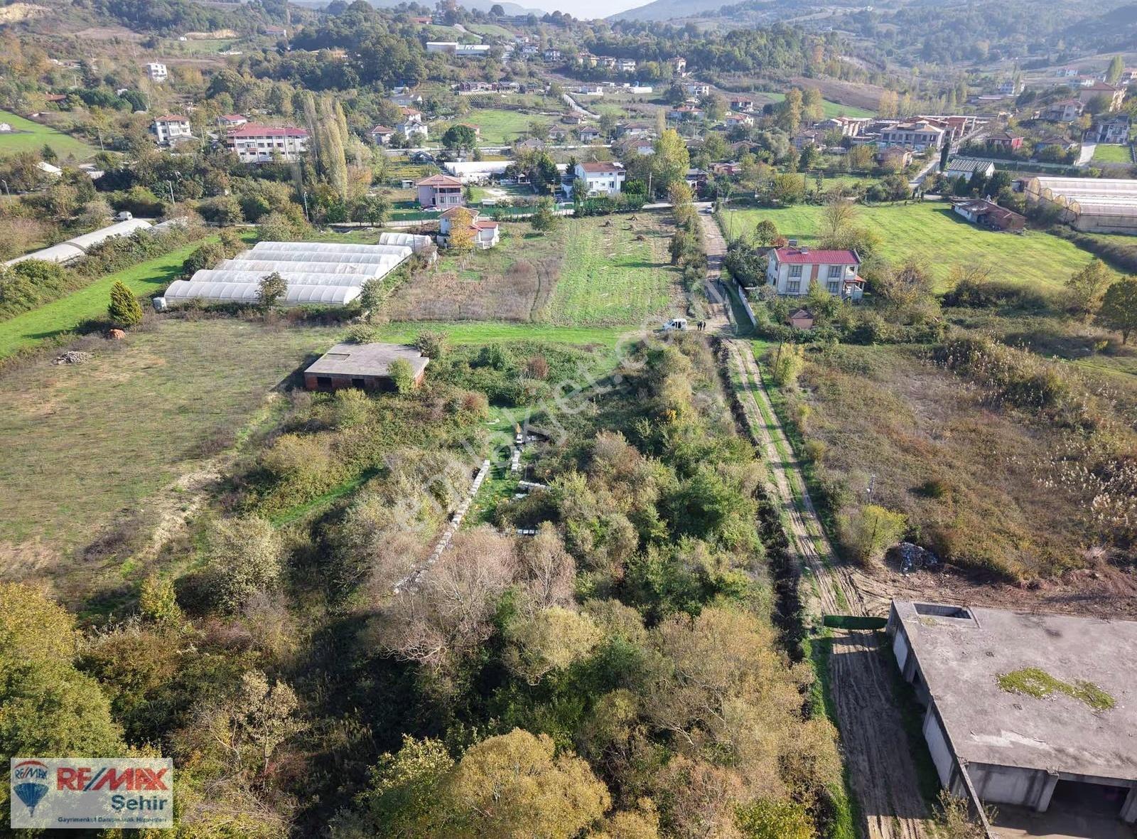 Re/max Şehir Yalova'dan Safran'da Satılık Tarla - Görsel 2