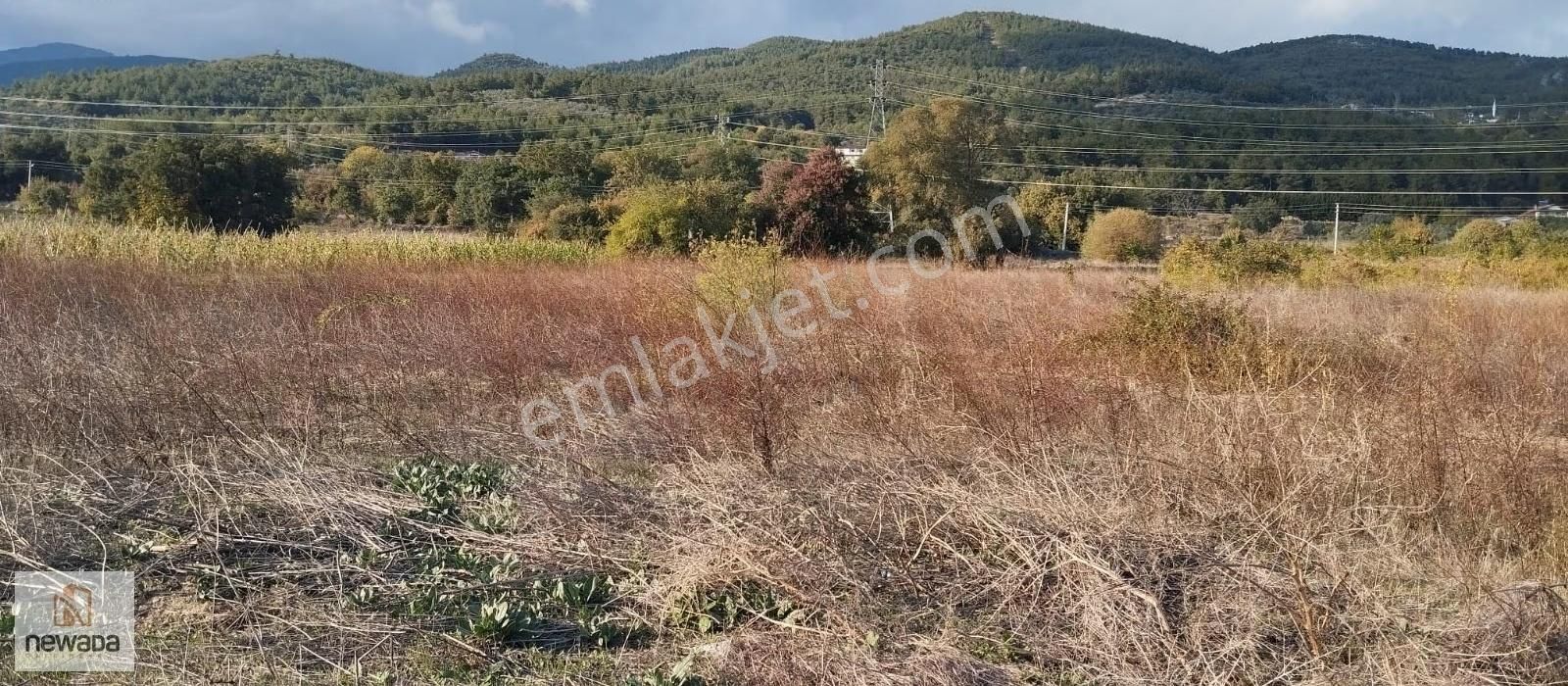 İmar Sınırında Pamukova Bayırakçaşehirde 5 Dönüm Tarla - Görsel 3