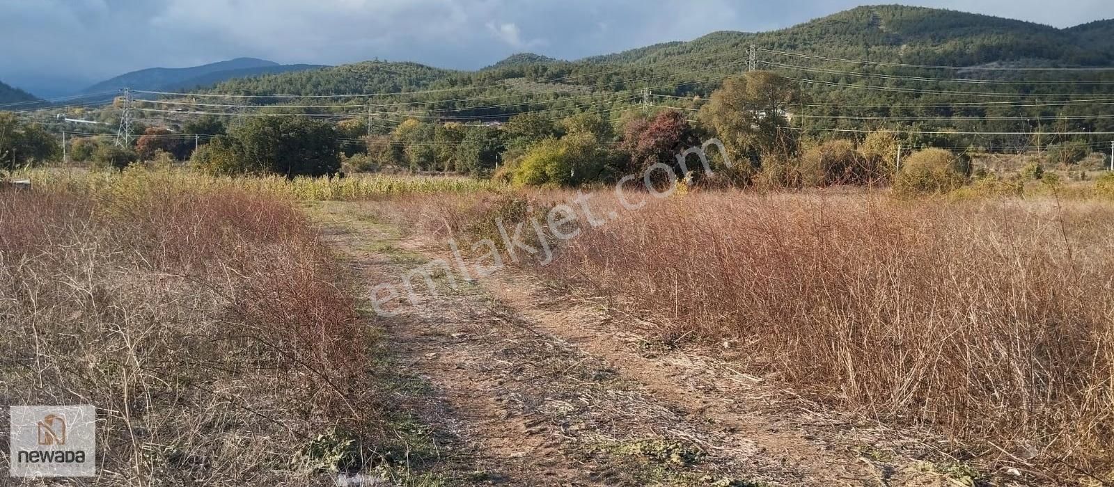 İmar Sınırında Pamukova Bayırakçaşehirde 5 Dönüm Tarla - Görsel 6