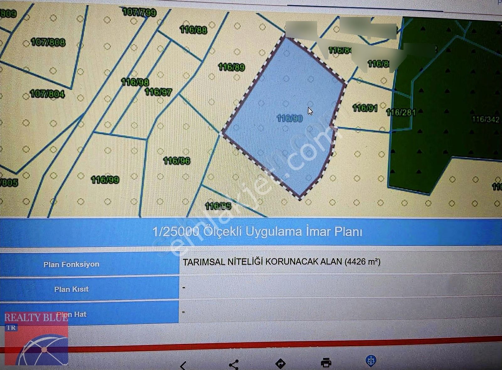 Kocaeli Kandıra'da Satılık Fındık Bahçesi 4.426 M² - Görsel 6
