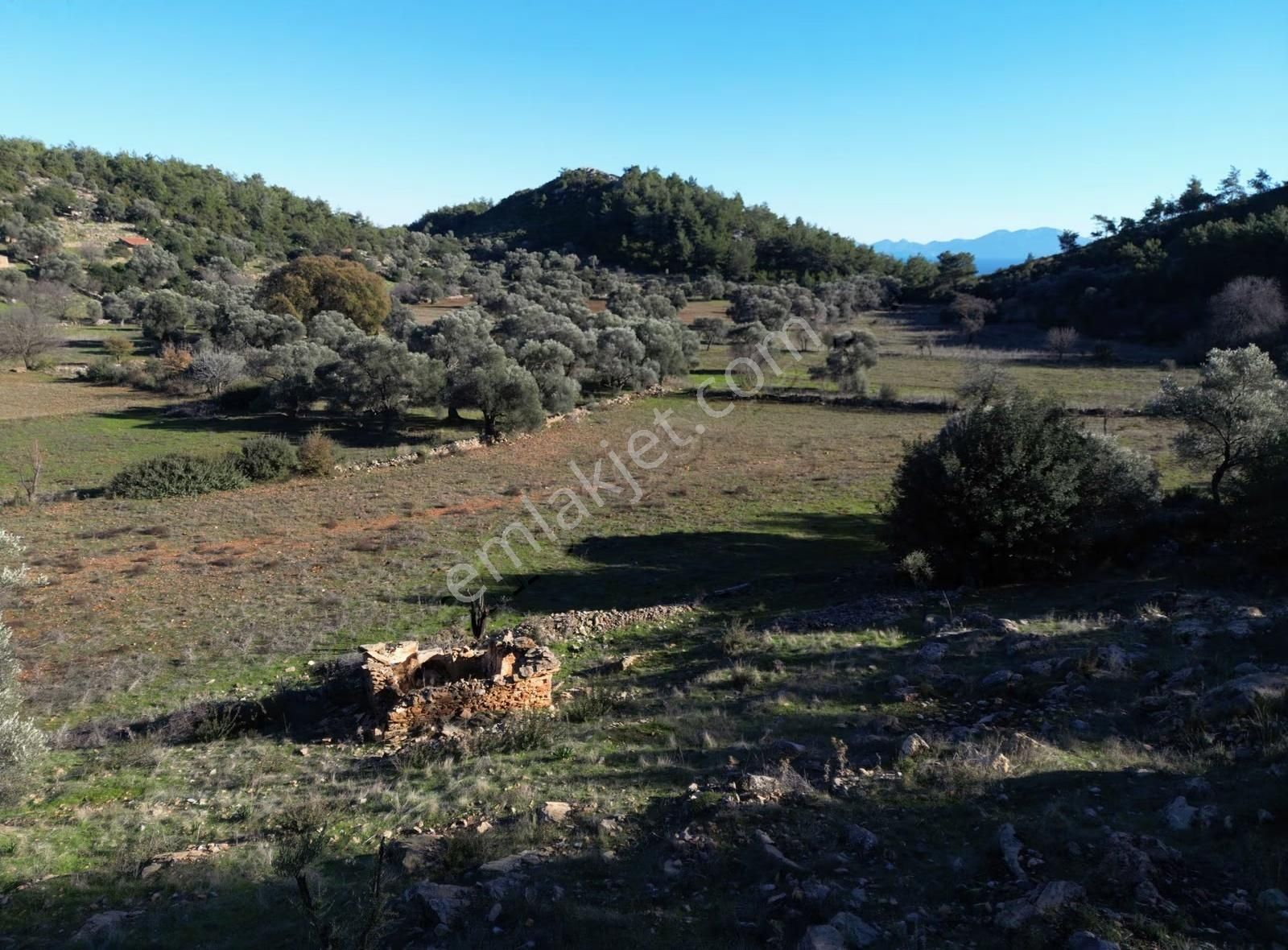 Bodrum Yalıçiftlik'te Yatırımlık 12000 M² Müstakil Tarla - Görsel 2