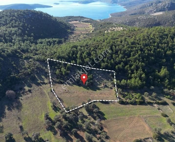 Bodrum Yalıçiftlik'te Yatırımlık 12000 M² Müstakil Tarla
