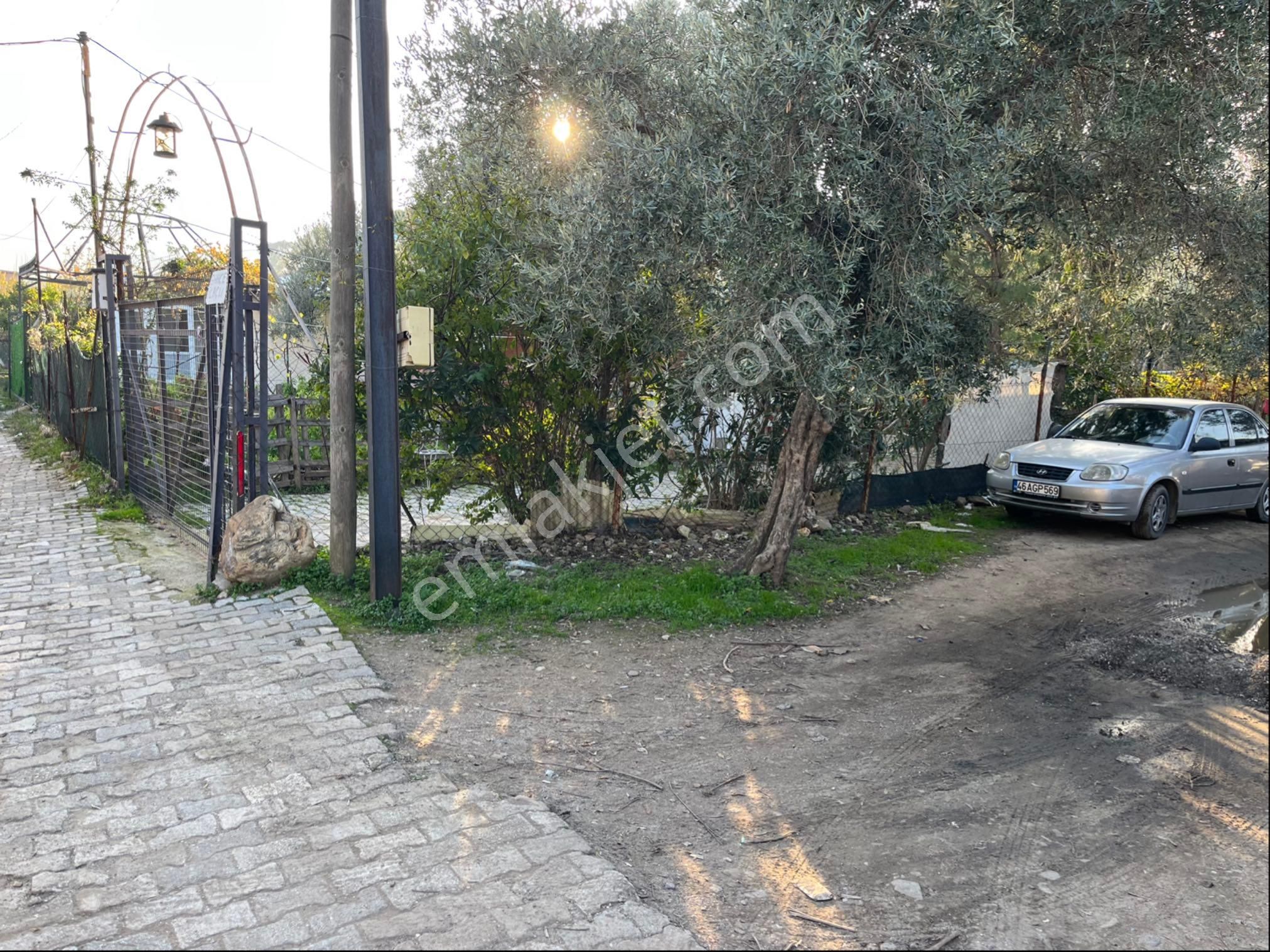 Satılık Yatırıma Uygun Zeytinlik - Görsel 2